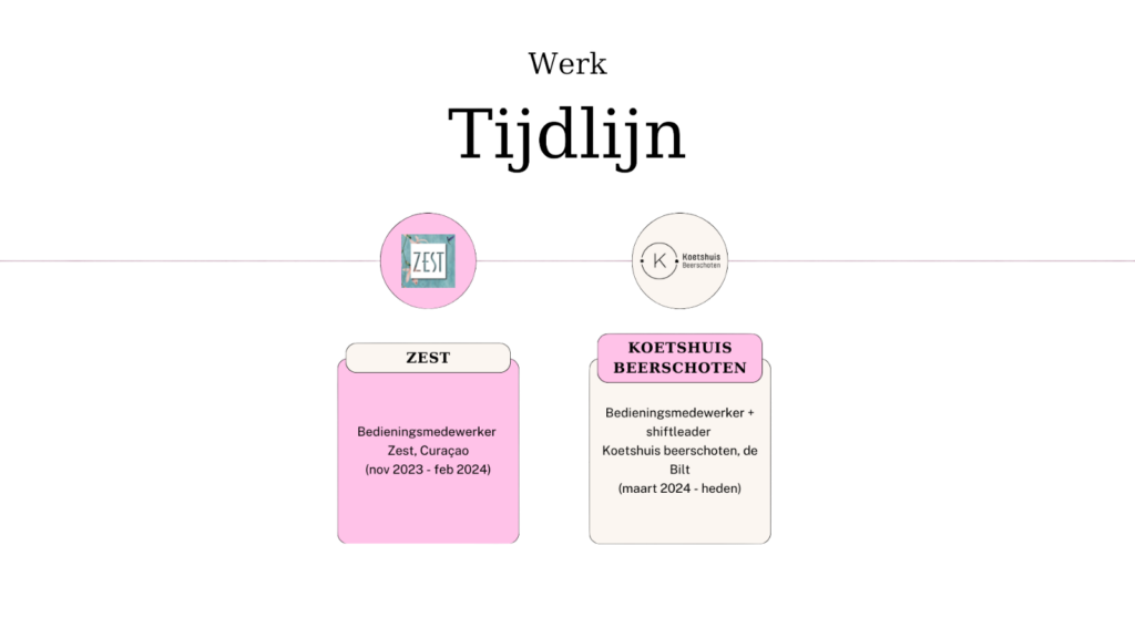 Een tijdlijn met de achtergrond van werkervaring van Jasmijn Collewijn